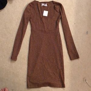 Sparkly Bodycon Dress